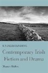 Margaret Hallissy, Margaret Hallissy - Understanding Contemporary Irish Fiction and Drama