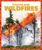 Vanessa Black, Cari Meister - Wildfires
