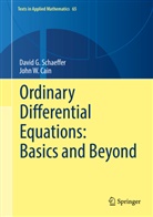John Cain, John W Cain, John W. Cain, John Wesley Cain, David Schaeffer, David G Schaeffer... - Ordinary Differential Equations: Basics and Beyond