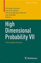 Christian Houdré, Davi M Mason, David M Mason, David Mason, David M. Mason, Patricia Reynaud-Bouret... - High Dimensional Probability VII