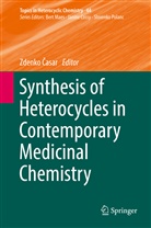 Zdenk Casar, Zdenko Casar, Zdenko Časar - Synthesis of Heterocycles in Contemporary Medicinal Chemistry