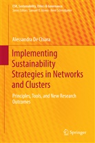 Alessandra de Chiara, Alessandra De Chiara - Implementing Sustainability Strategies in Networks and Clusters