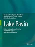 Pierr Boivin, Pierre Boivin, Emmanuel Chapron, Emmanuel Chapron et al, Didier Jezequel, Michel Meybeck... - Lake Pavin