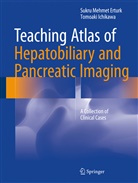 Sukru Mehme Erturk, Sukru Mehmet Erturk, Tomoaki Ichikawa - Teaching Atlas of Hepatobiliary and Pancreatic Imaging
