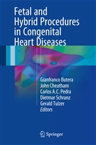 Carlos AC Pedra et al, Gianfranco Butera, Joh Cheatham, John Cheatham, Carlos Pedra, Carlos A. C. Pedra... - Fetal and Hybrid Procedures in Congenital Heart Diseases