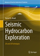 Hamid N Alsadi, Hamid N. Alsadi - Seismic Hydrocarbon Exploration