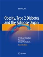 Saverio Cinti, Saveri Cinti, Saverio Cinti - Obesity, Type 2 Diabetes and the Adipose Organ