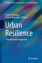 Maruyama, Maruyama, Hiroshi Maruyama, Yoshik Yamagata, Yoshiki Yamagata - Urban Resilience