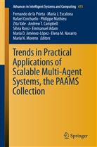 Emmanuel Adam, Andrew T. Campbell, Rafael Corchuelo, Rafael Corchuelo et al, Fernando de la Prieta, María J. Escalona... - Trends in Practical Applications of Scalable Multi-Agent Systems, the PAAMS Collection