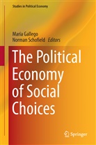Mari Gallego, Maria Gallego, Schofield, Schofield, Norman Schofield - The Political Economy of Social Choices
