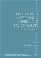 Baláz Szent-Iványi, Balázs Szent-Iványi - Foreign Direct Investment in Central and Eastern Europe
