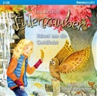 Ina Brandt, Friedel Morgenstern - Eulenzauber - Rätsel um die Goldfeder, 2 Audio-CDs (Audio book)