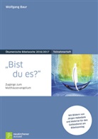 Wolfgang Baur, Jörgen Habedank - Bist du es?, Teilnehmerheft zur Ökumenische Bibelwoche 2016/2017
