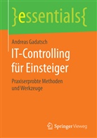 Andreas Gadatsch - IT-Controlling für Einsteiger