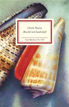 Ulrich Moritz, Ulrich Moritz - Muschel mit Landschaft