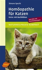 Simone Specht - Homöopathie für Katzen