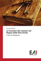 Gaetano Majolino - Le funzioni dei comuni nel Regno delle Due Sicilie