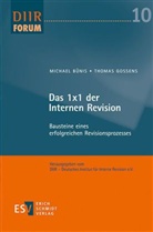 Michae Bünis, Michael Bünis, Thomas Gossens, DII - Deutsches Institut für Interne, Deutsches Institut für Interne Revision (DIIR), DIIR - Deutsches Institut für Interne Revision e. V. - Das 1x1 der Internen Revision