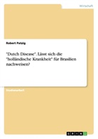 Robert Patzig - "Dutch Disease". Lässt sich die "holländische Krankheit" für Brasilien nachweisen?