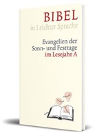 Diete Bauer, Dieter Bauer, Claudi Ettl, Claudio Ettl, Paulis Mels, Dieter Groß... - Bibel in leichter Sprache. Tl.1