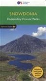Terry Marsh - Snowdonia