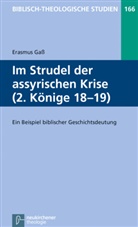 Erasmus Gaß, Jörg Frey, Erasmus Gaß, Friedhel Hartenstein, Friedhelm Hartenstein, Bernd Janowski... - Im Strudel der assyrischen Krise (2. Könige 18-19)