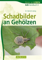 Heinrich Lösing, Heinrich (Dr.) Lösing - Schadbilder an Gehölzen