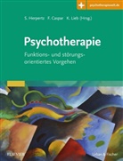 Fran Caspar, Franz Caspar, Fran Caspar (Prof. Dr. phil.), Sabine Herpertz, Klaus Lieb, Lieb (Prof. Dr. me - Psychotherapie