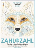 Gareth Moore - Zahl zu Zahl