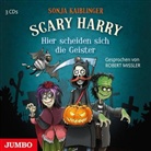 Sonja Kaiblinger, Robert Missler - Scary Harry - Hier scheiden sich die Geister, 3 Audio-CDs (Hörbuch)