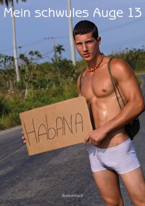 Rinaldo Hopf, Axel Schock - Mein schwules Auge. Nr.13. Nr.13 Das Jahrbuch der schwulen Erotik 2016/2017