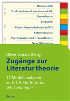 Olive Jahraus, Oliver Jahraus - Zugänge zur Literaturtheorie