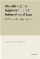 Olaoluwa Olusanya - Identifying the Aggressor under International Law