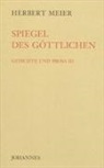 Herbert Meier - Spiegel des Göttlichen