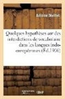 Antoine Meillet, Meillet-a - Quelques hypotheses sur des