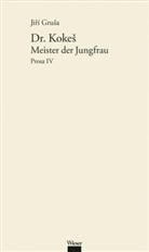 Jiri Grusa, Jirí Grusa, Jirí Gruša, Dalibor Dobias, Hans-Dieter Zimmermann - Werkausgabe - 6: Prosa. Bd.4