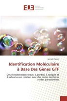 Jannadi Hanen - Identification Moléculaire à Base Des Gènes GTF