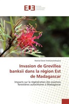 Martial Doret Andrianandrasana - Invasion de Grevillea banksii dans la région Est de Madagascar