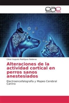 César Augusto Rodríguez Balderas - Alteraciones de la actividad cortical en perros sanos anestesiados