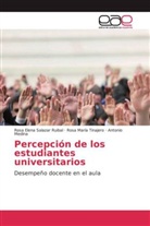 Me, Antonio Medina, Rosa Elen Salazar Ruibal, Rosa Elena Salazar Ruibal, Rosa Marí Tinajero, Rosa María Tinajero - Percepción de los estudiantes universitarios