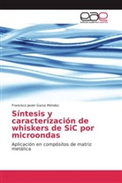 Francisco Javier Garza Méndez - Síntesis y caracterización de whiskers de SiC por microondas