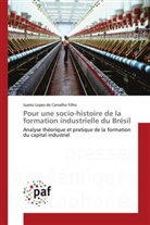 Juarez Lopes de Carvalho Filho - Pour une socio-histoire de la formation industrielle du Brésil