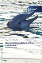 Seyed Amin Ghaffari - Numerical simulation of fish swimming