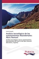 Amèlia Bargalló - Análisis tecnológico de los asentamientos Neandertales: Abric Romaní