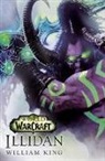 World of Warcraft: Illidan