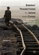 Tai Wei Lim - Energy Transitions in Japan and China