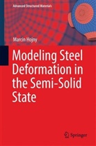 Marcin Hojny - Modeling Steel Deformation in the Semi-Solid State