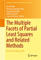 Herve Abdi, Hervé Abdi, Vincenz Esposito Vinzi, Vincenzo Esposito Vinzi, Giorgio Russolillo, Giorgio Russolillo et al... - The Multiple Facets of Partial Least Squares and Related Methods