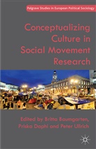 B Daphi Baumgarten, Britta Daphi Baumgarten, B. Baumgarten, Daphi, P Daphi, P. Daphi... - Conceptualizing Culture in Social Movement Research