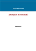 Tapan Kumar Das Gupta, Tapan Kumar Das Gupta - Zahlensystem der Induskultur